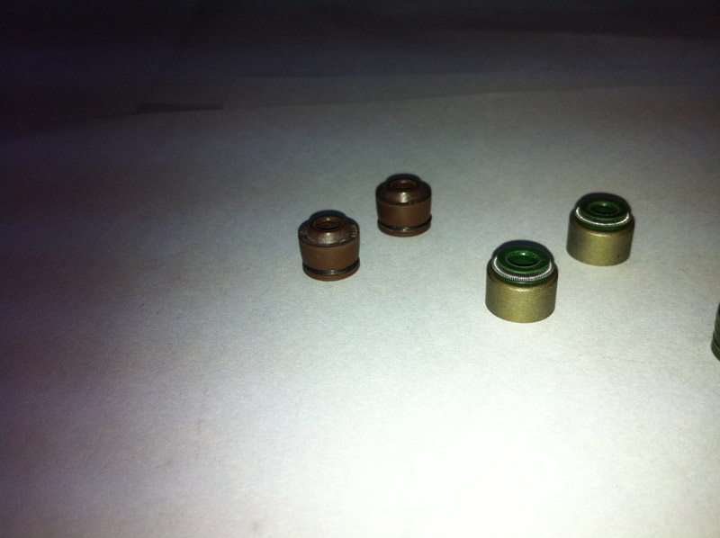 VALVE OIL SEAL (2)