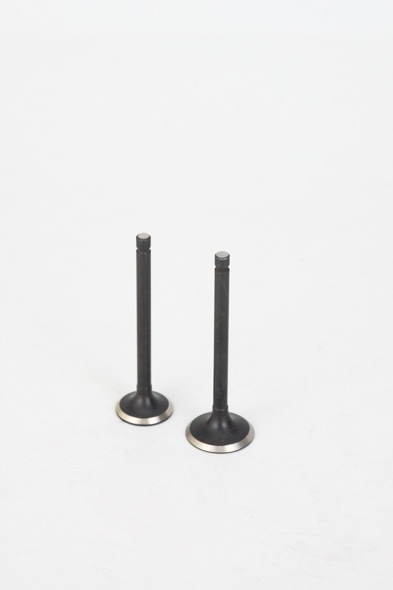 Engine Valve Set