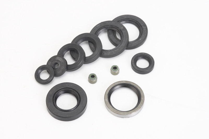 Oil Seal