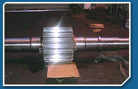 Pinion Shafts