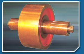 Trunnion Roller